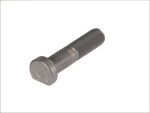 BPW rattapolt M22x1,5x97mm BPW H/R,KH/KR,NH/NR ( velg alumiinium)