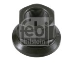 velg mutter esimene/tagumine M22x1,5 x31mm (fosfaat conversion kaetud / teras, open end) sobib: DAF 65, 65 CF, 75, 75 CF, 85, 85 CF, 95, 95 XF, CF, CF 65, CF 75, CF 85, F 1800, F 1900, F 2100, F 2300