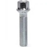 Bimecc rattapolt S17D55R14 M14x1.5x55 17 mm Hex R14 1 tk