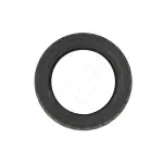 Elektritõukeratta ilma sisekummita (tubeless) rehv 10x2,3-6,5