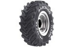 ascenso padanga žemės ūkio 600/70r34 rae xlr880
