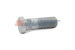 velg polt esimene M22x1,5 x63mm (Galvanised) sobib: IVECO EUROTECH MH, EUROTECH MP, STRALIS I, S-WAY 01.93-