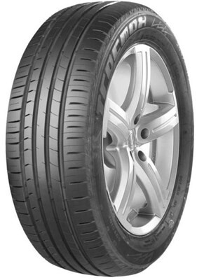 suverehv Tracmax X-privilo RS01+ 255/40R21 102Y XL FR c c b