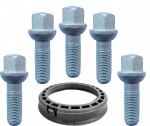 ronal kit ( mounting ring 76,0-66,45 1pc.) + (pk12x1,50/30/17, r13, 5pc.)