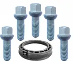 ronal kit ( mounting ring 76,0-66,45 1pc.) + (pk14x1,25/29, r13, 5pc.)