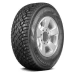 225/55R19 Delinte WD42 naastrehv 103T XL