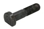 Ratta polt Tagumine M14x1,5 x60/67mm (keerme pikkus 32mm, Fosfaadi muundamisega kaetud / Teras) sobib: MERCEDES O 309, SPRINTER 4,6-T (B906), SPRINTER 4-T (B904), SPRINTER 5-T (B906) 01.68-