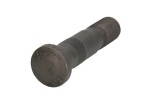 Ratta polt M18x1,5 x79/88mm (keerme pikkus 28mm, Fosfaadi muundamisega kaetud / Teras) sobib: RVI MIDLUM 01.00-