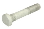 Ratta polt M22x1,5 x125/135mm (keerme pikkus 56mm, Galvaniseeritud) sobib: MAN TGM I 10.05-03.22