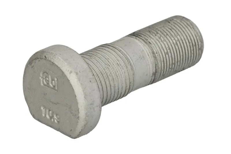 rattapoldid fe193905