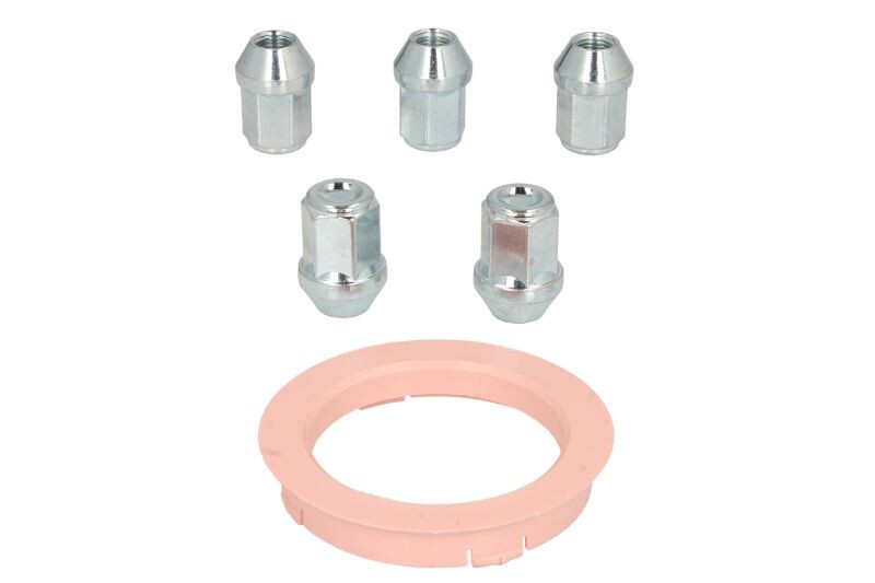 set mounting (FZ20 74.1-60.1; N D2 60° cone M12x1,25; 1 kit / 1 wheel - 5 hole)