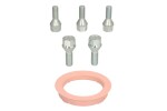 komplekt paigaldus (FZ20 74.1-60.1; B B30 60° koonus M12x1,5 L30; 1 kit / 1 velg - 5 auku)