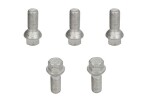 komplekt paigaldus (OE/Fix; B S17F29 sphere M14x1,25 L29,5 R13; 1 kit / 1 velg - 5 auku)