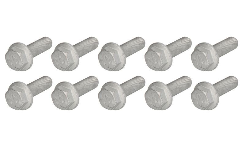 polt (10 tk.; for clamp SN7/SK7; new type) sobib: MERCEDES