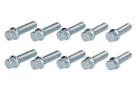 Ratta polt, keerme mõõt: M14mm, keerme samm: 1,25mm, keerme pikkus: 45mm, mutrivõtme mõõt: 17mm, kogus: 10