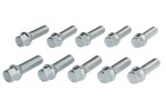 Ratta polt, keerme mõõt: M14mm, keerme samm: 1,5mm, keerme pikkus: 40mm, mutrivõtme mõõt: 17mm, kogus: 10 (kuul)