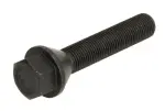 bolt wheel (M12x1,25, length thread: 55mm, cone, paint black; Caution: Wrench 17)