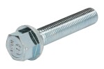 veljepolt esimene - tagumine (M12x1,5mm, pikkus keere 55mm, ettevaatust: võti 17)