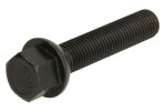 polt velg (M12x1,5, pikkus keere: 55mm, kuul, värv must; ettevaatust: võti 17)