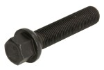 polt velg (M14x1,5, pikkus keere: 60mm, kuul, värv must; ettevaatust: võti 17)