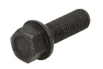 velg bolt mammooth