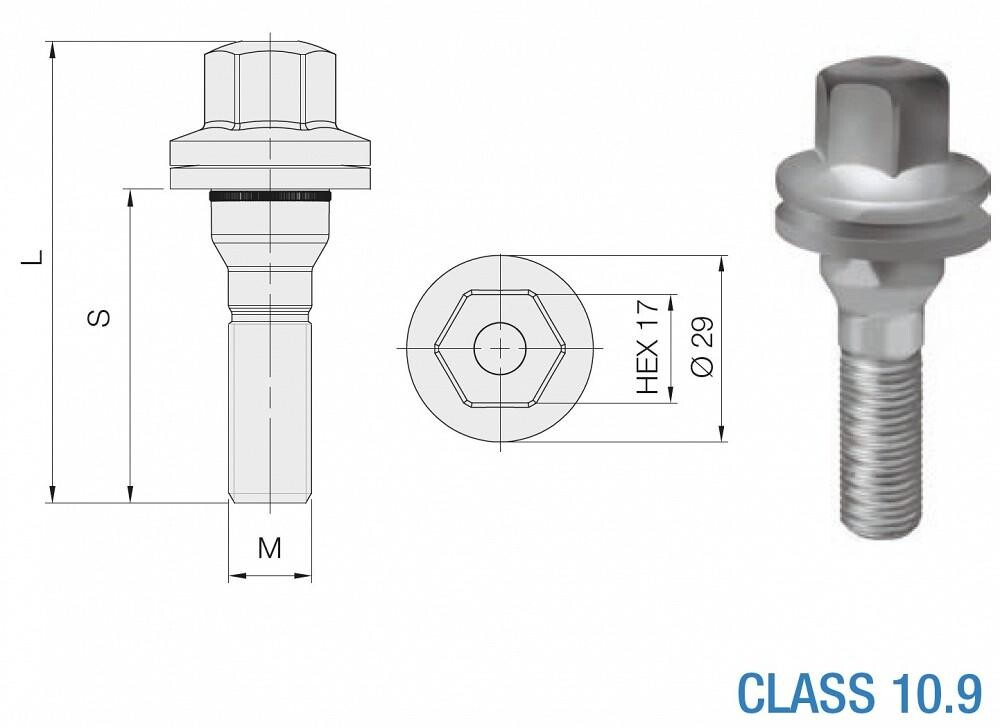 bolt ps12x1.25/45/17 (p67. ch17) with washer (peu. cit) iso 10.9. geomet