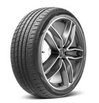 легковой авто / для джип Летняя шина 195/55R16 91V XL Radar Dimax Touring