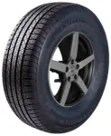 225/60R17 Powertrac PT30 Summer tyre 99H